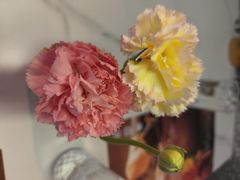 -伯顿西餐厅(茶山彩虹路店)