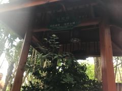 -碧水湾温泉