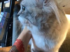 -五一星光夜市(SOHO新天地店)