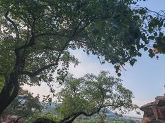 -颐和园