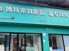-博特宠物医院24h犬猫全科.骨科·异宠