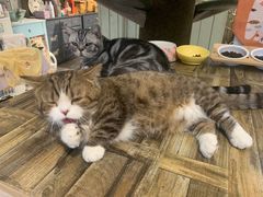 -小时光咖啡馆(北锣鼓巷店)