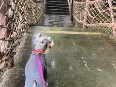 -海南热带雨林国家公园吊罗山景区