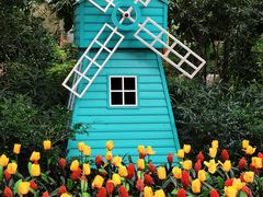 景点-南宫五洲植物乐园