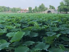 -长春市南湖公园