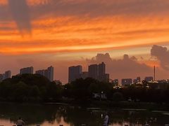 -八大山人梅湖景区