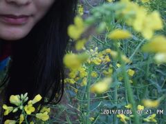 -天适樱花悠乐园