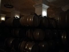 -北京张裕爱斐堡酒庄