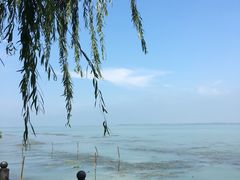 -湖鲜楼