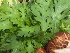 -千牛将·鲜牛肉火锅(开元路店)