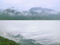 -冯记香辣兔火锅(茶店子总店)
