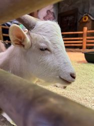 -Zoolung Zoolung动物主题公园(海信广场店)