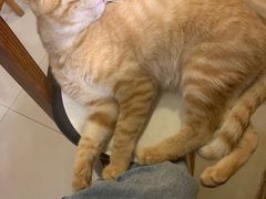 -树洞咖啡(科大店)