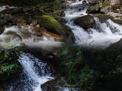 -瓦屋山景区