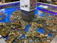 -盒马鲜生(顺义店)