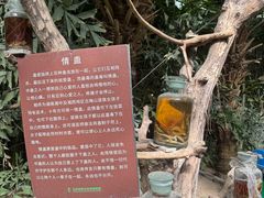 -呀路古热带植物园