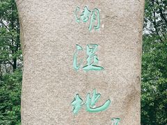 -溱湖国家湿地公园