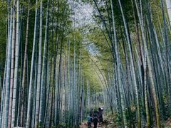 -五泄景区