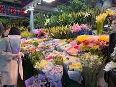 -朝来春花卉市场