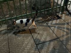 -光明港公园