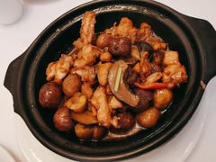板栗焖鸡-金华安大酒楼·老牌潮菜·粤式茶点(东方国际店)