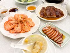 -沙田新强记烧鹅海鲜酒家