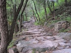 -阳台山自然风景区