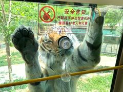 -栾川竹海野生动物园