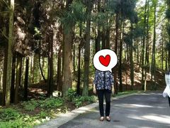 -山王坪喀斯特国家生态公园