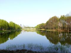 -贡湖湾湿地公园