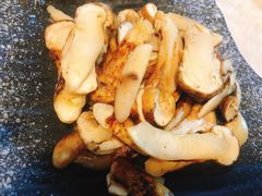 松茸-蘑统田下·野生菌火锅
