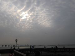 -宝安西湾红树林湿地公园