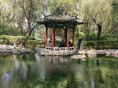 -百脉泉景区