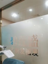 -碧莲盛·不剃发植发