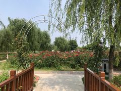 -金色田园农家乐餐厅