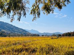 -塔川景区