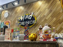 -神奇科学家STEAM科学实验科创赛事机器人编程逻辑思维MadScience(长宁来福士校区)