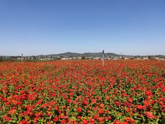 -六合国家地质公园桂子山景区