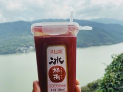 -严子陵钓台(富春江小三峡)