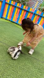 -萌宠亲子动物乐园(槐房万达店)