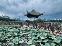 -南宁南湖公园