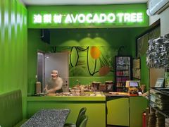 -油梨树AVOCADO TREE(顺义新国展店)