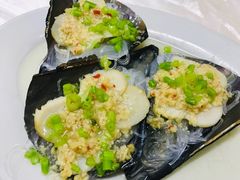 带子-老三鱼仔店