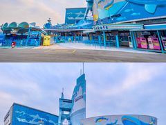 -海合安青岛极地海洋公园