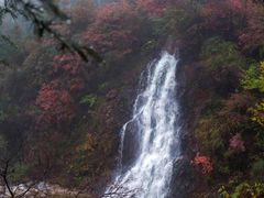 -陕西省红河谷森林公园