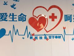 -守诺宠物医院·眼科· 特色牙科·异宠专科(虹口店)