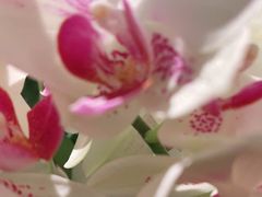 -山里亲戚(淞虹路店)
