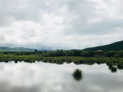 -塞罕坝国家级自然保护区