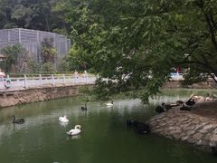 -黔灵山公园-南门售票处