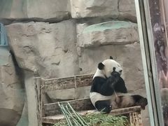 -无锡动物园·太湖欢乐园